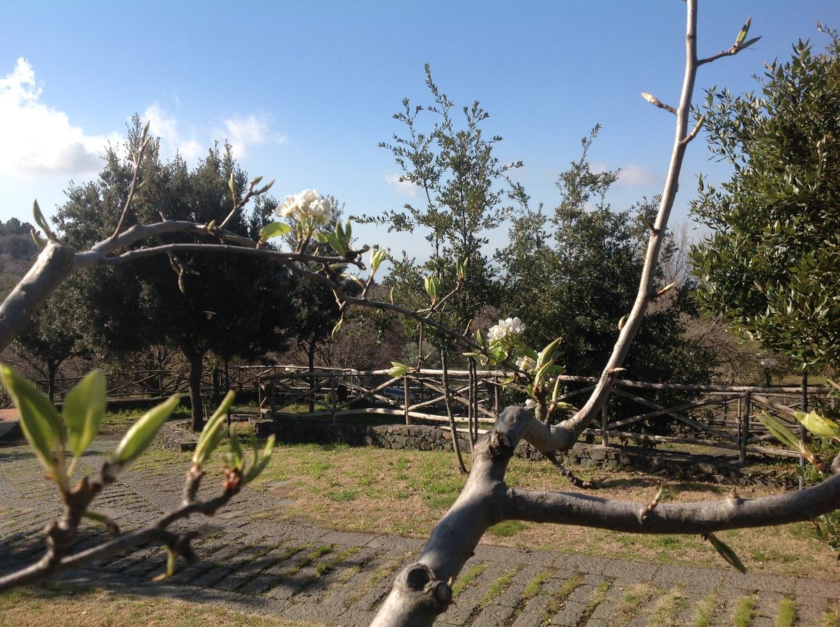 فندق Le Cisterne Dell'Etna Calcerana-Marina المظهر الخارجي الصورة