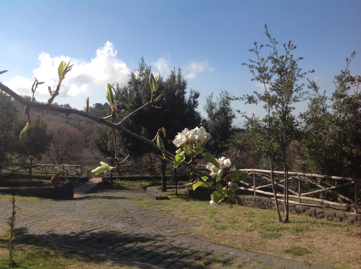 فندق Le Cisterne Dell'Etna Calcerana-Marina المظهر الخارجي الصورة