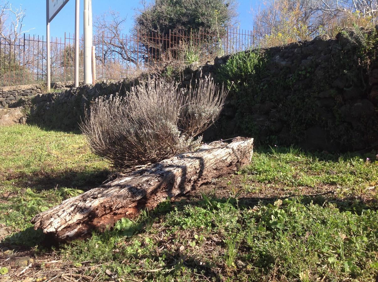 فندق Le Cisterne Dell'Etna Calcerana-Marina المظهر الخارجي الصورة